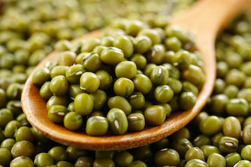 ムング豆　ムングダール　緑豆