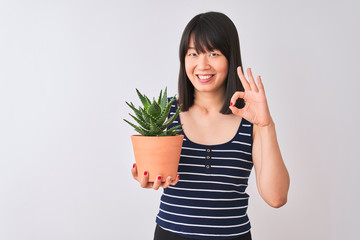Young beautiful Chinese woman holding cactus pot over isolated white background doing ok sign with fingers, excellent symbol