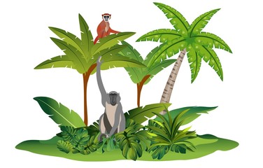 Jungle scene, monkey and tropical flora and fauna vector