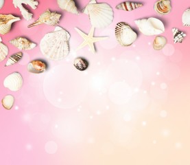 Sea shells on sandy beach with place for text