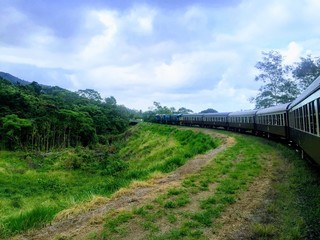 オーストラリア ケアンズ キュランダ高原列車