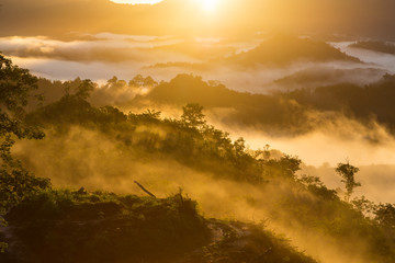 Amazing Beautiful Nature landscape view of Sunrise with  nature misty foggy and Mount Kinabalu, Sabah, Borneo