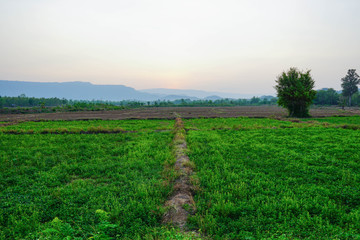 Fresh green mountainand and cloudy sky in morning, at Khao Kho, Phetchabun, Thailand