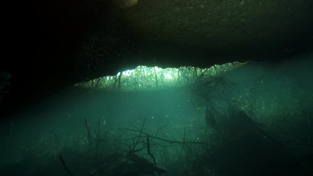 Underwater caves of Yucatan Mexico cenotes. Cave diving in clean and clear underground water.