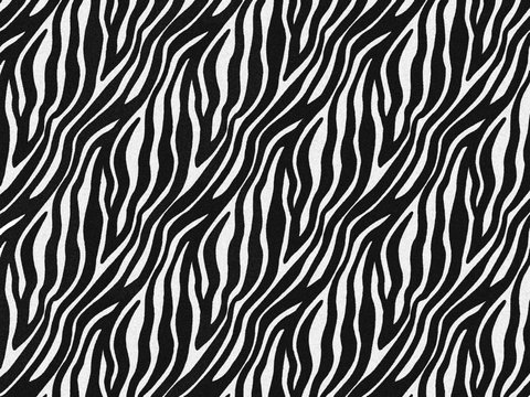 Zebra fur skin seamless pattern, carpet zebra hairy background, black and white texture, smooth, fluffly and soft, using brush photoshop to design the graphic. Animal skin print camouflage concept.