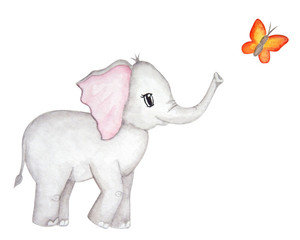 Cute elephant with butterfly. Watercolor hand drawn illutration.