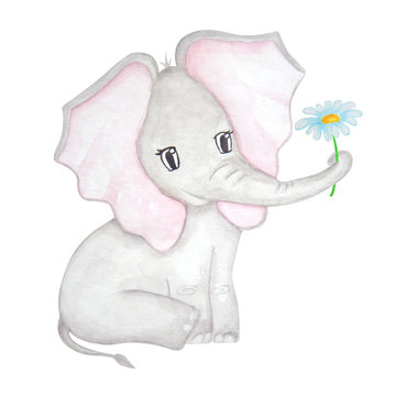 Cute elephant with flower. Watercolor hand drawn illutration.