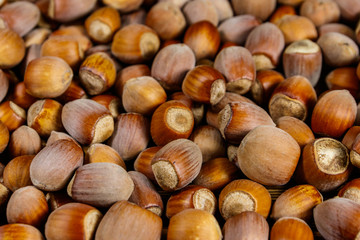 Food background of the whole hazelnuts