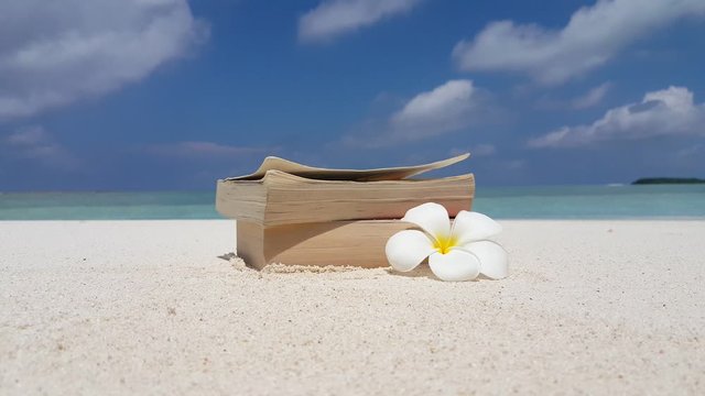 Tropical white flower frangipani over a books on white sand in a vacation trip, Damas island, close up