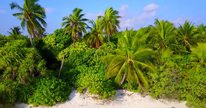 Coconut Palms Plantation On Tropical Island With White Sand Beach Philippines