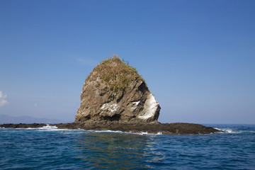 Fototapeta premium Cabeza de Mono – Costa Rica 