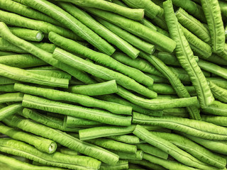 close up yard long bean, vegetable concept