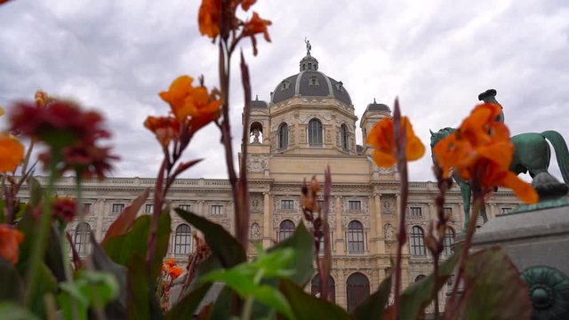Right moving slow Motion slider movement through flowers with backdrop of Vienna Natural History Museum and statue