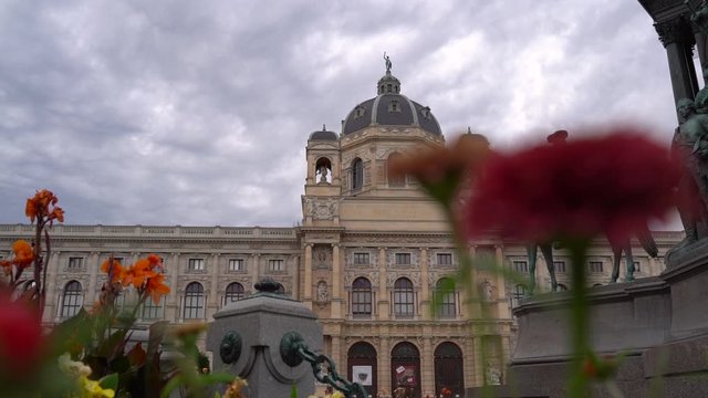 Slow Motion movement through flowers with backdrop of Vienna Natural History Museum and statue