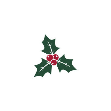 Holly berry leaves Christmas icon. Vector illustration