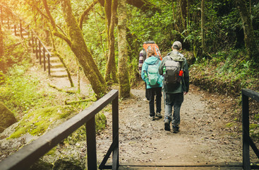 Walk in the forest to climb up the hill around the forest.