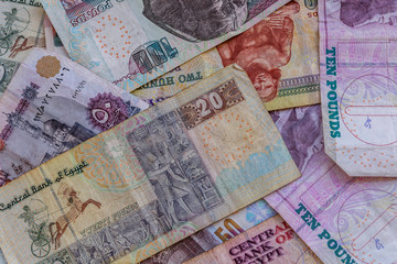 Heap of the different egyptian banknotes for background