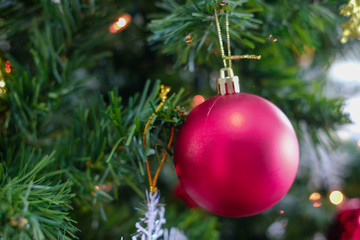 Close-up the red ball on the christmas tree ,Merry Christmas and happy holidays,happy moment and celebration time.
