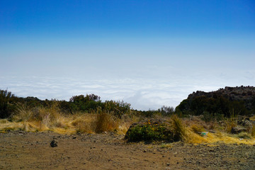 Morning mist, while the sun is rising Kilimanjaro Mountain in Tanzania background texture