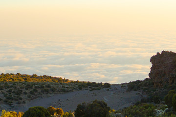 Fototapeta na wymiar Morning mist, while the sun is rising Kilimanjaro Mountain in Tanzania background texture