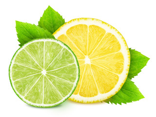 Fresh composition with slices of different citrus fruits and mint isolated on a white background.
