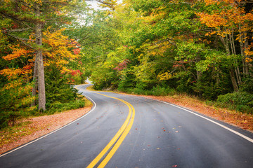 Winding road curves through scenic autumn foliage trees in New England. - 297968898