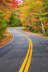 Fototapeta na wymiar Winding road curves through scenic autumn foliage trees in New England.