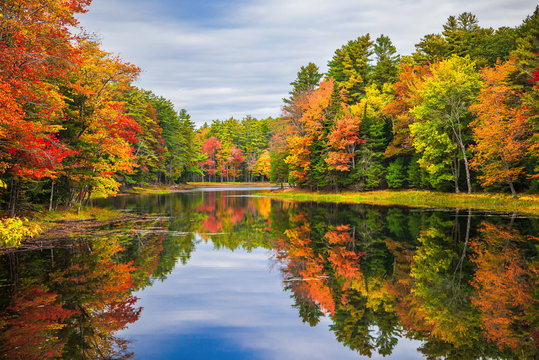 Colorful foliage tree reflections in calm pond water on a beautiful autumn day in New England