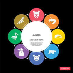 8 animals concept icons infographic design. animals concept infographic design on black background