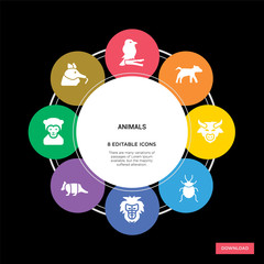 8 animals concept icons infographic design. animals concept infographic design on black background