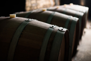 Wooden barrels in a dark cellar