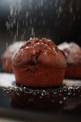 muffins with chocolate