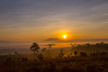 Picture of Sunrise at Thung Salaeng Luang National Park with mist in the forest, Phitsanulok and Phetchabun Provinces of Thailand
