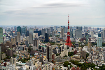 東京の街並み 東京タワー周辺