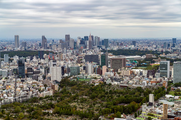 Fototapeta na wymiar 東京の街並み 青山霊園周辺