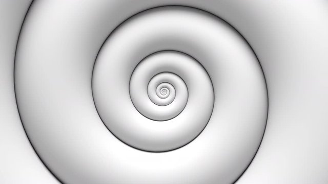 Abstract white fibonacci spiral rotating background. Seamless loop. 3d rendering