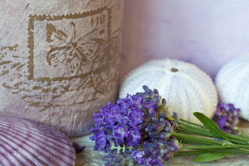 Purple Fragrant Lavender Blossom Still Life