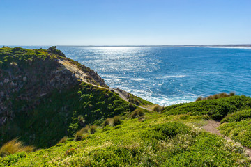 view from the pinnacles lookout, philip island, victoria, australia