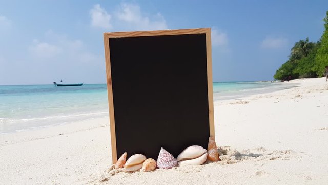 Vacation theme wallpaper with an empty blackboard plunged on white sand surrounded with beautiful seashells in Australia
