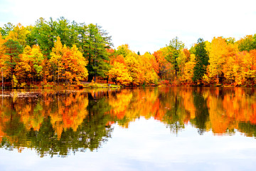 Beautiful autumn landscape. Reflection of the autumn forest in the lake.