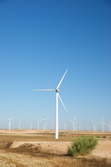 Fototapeta premium Wind energy concept