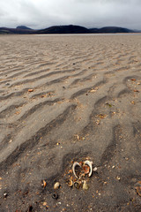 Textured sandy bottom of a huge kyle