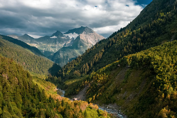 Panoramic view of Mount Tsakhvoa, autumn forest on steep slopes, curved river valley foreground; crones of pine fir trees in warm sunset light; dramatic clouds on snowy peak; natural travel background
