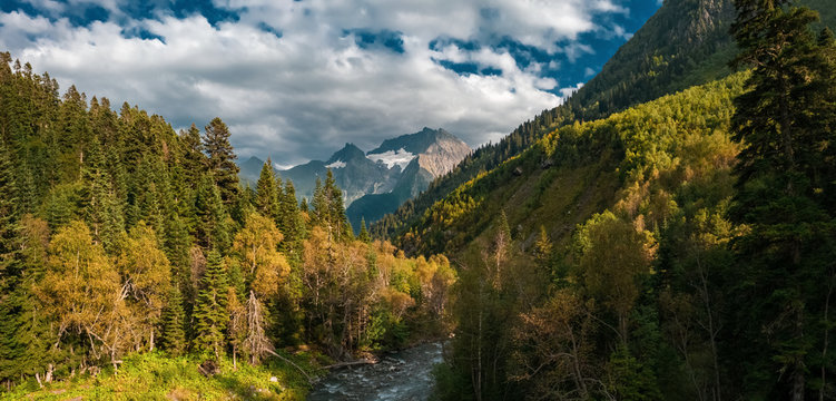 Panoramic view of Mount Tsakhvoa with autumn forest on steep slopes of river valley foreground; high trunks and crones of pine fir trees in warm sunset light; natural travel background, Caucasus