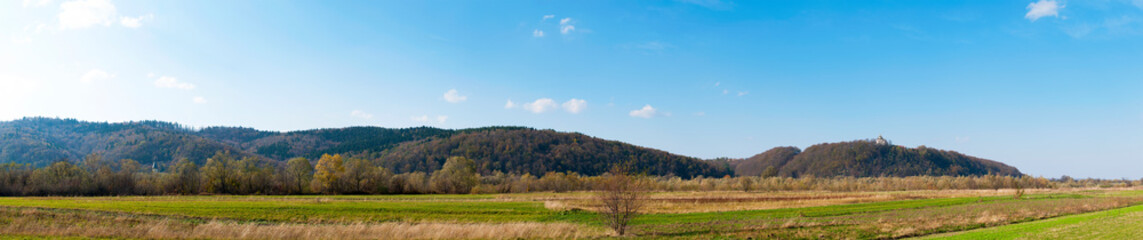 panorama with distant forest and churches on a beautiful sunny day