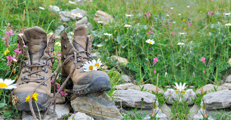 old hiking shoes put on stone in grass and alpine flowers