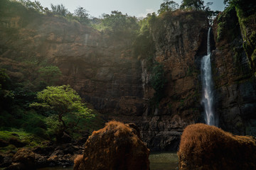 Waterfall and Trees