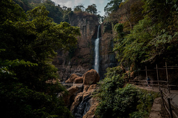 Waterfall and Trees