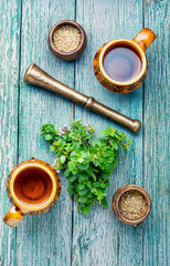 Fresh and dried oregano herb