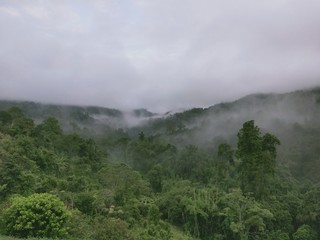 fog in the mountains